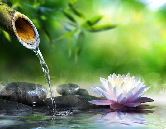 Flowing zen garden