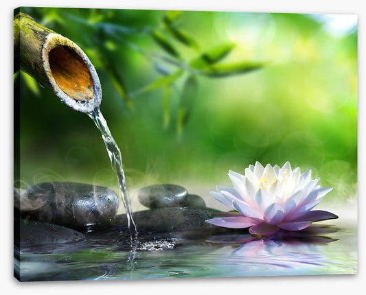 Flowing zen garden