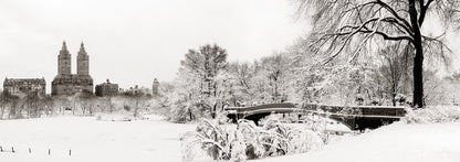 Central Park winter