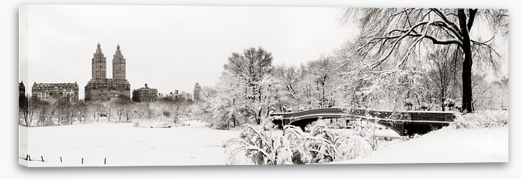 Central Park winter