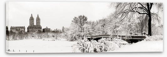 Central Park winter
