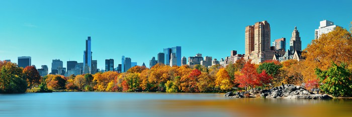 Central Park in Autumn