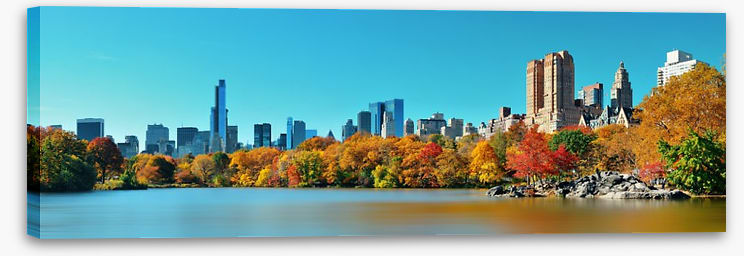 Central Park in Autumn