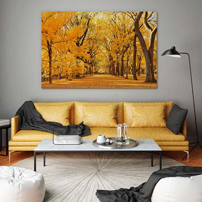 Fall in Central Park