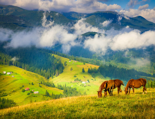 Three horse hill