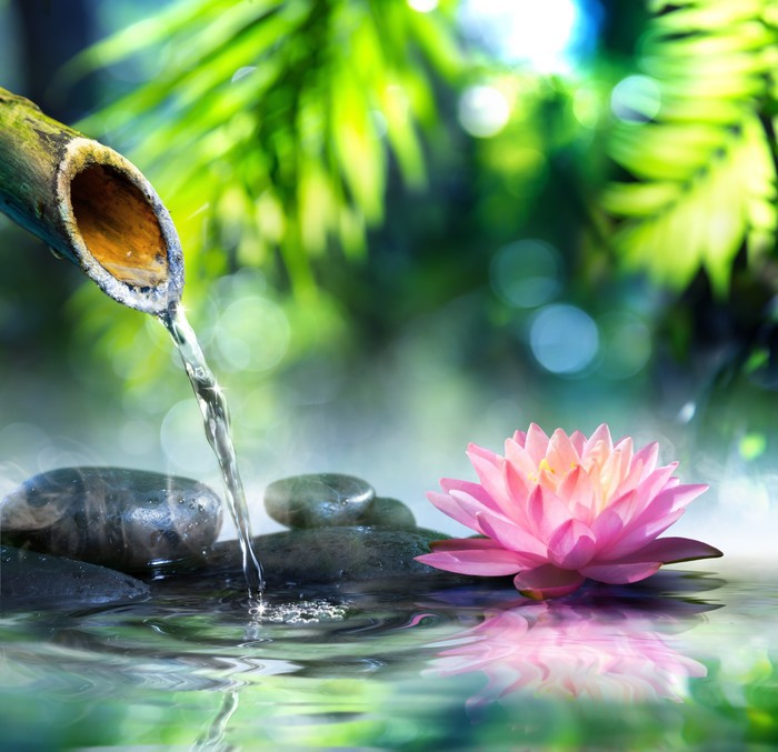 Zen water garden