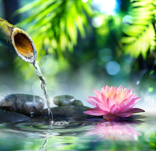 Zen water garden