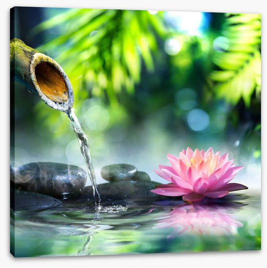 Zen water garden