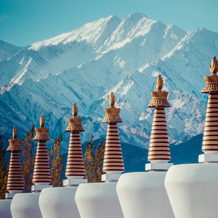 Shey Palace chortens