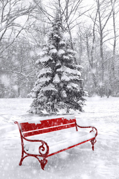 A seat in the snow