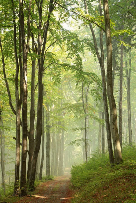 Solitary hike