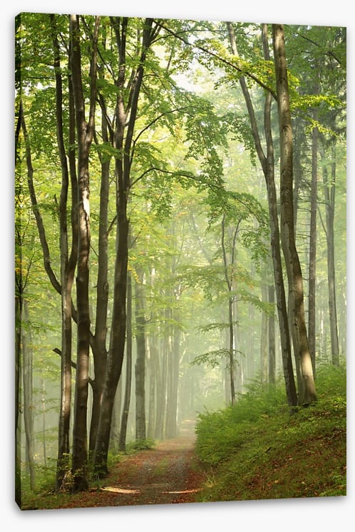 Solitary hike