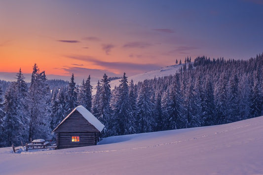 The cabin in the snow