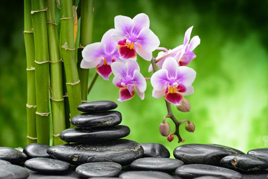The balance of harmony