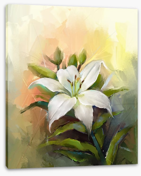 Trumpet lily triumph