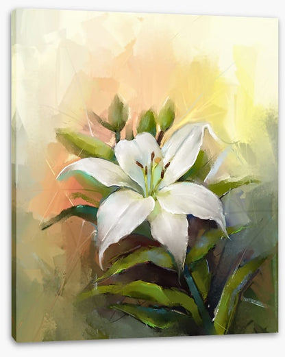 Trumpet lily triumph