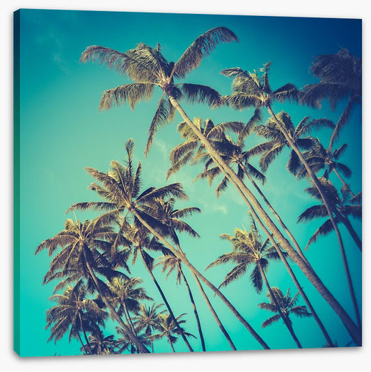 Retro palms