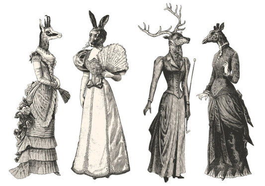 The ladies