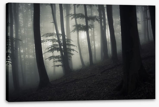 Forests