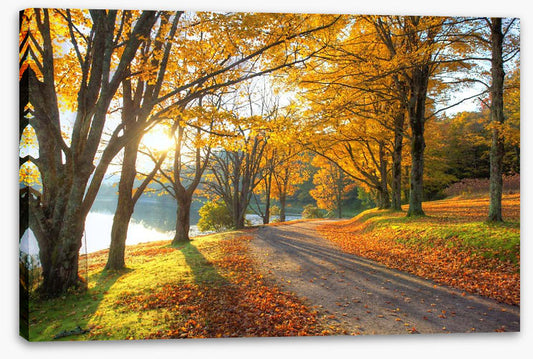 Path to the Autumn lake