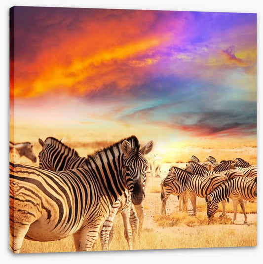 Serengeti sunset