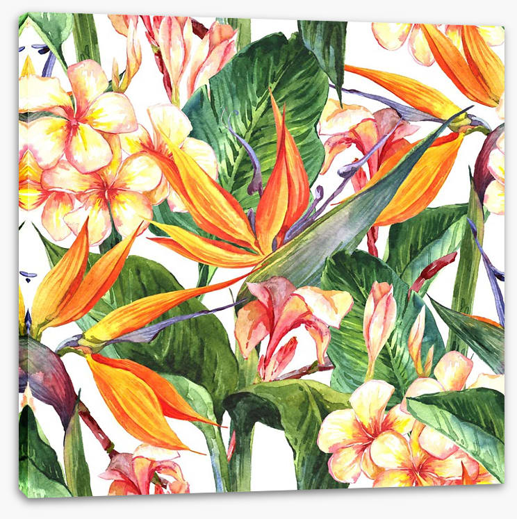 Exotic hibiscus leaves