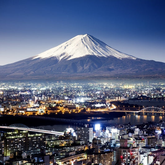 Mount Fuji cityscape