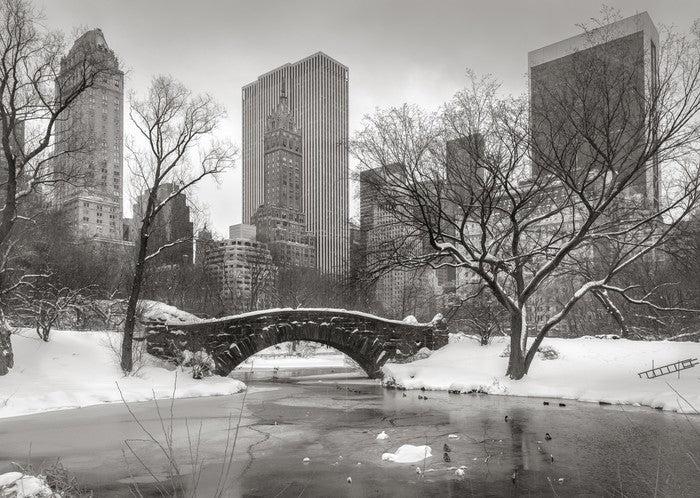 Central Park glacé