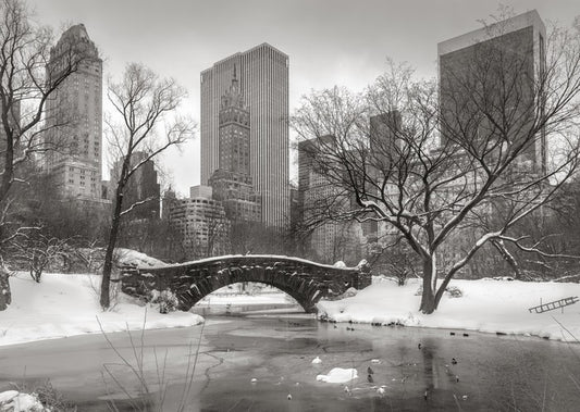 Central Park glacé