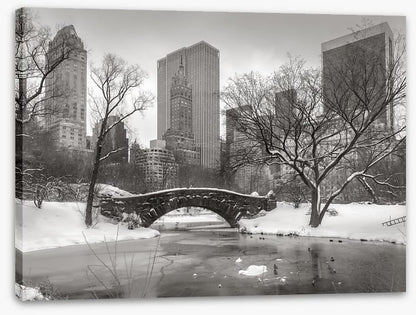 Central Park glacé
