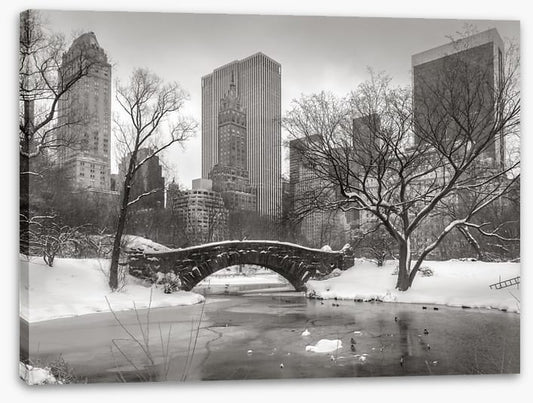 Central Park glacé