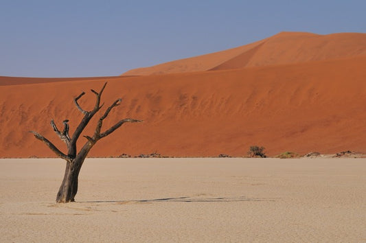 Africa