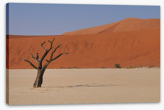 Africa