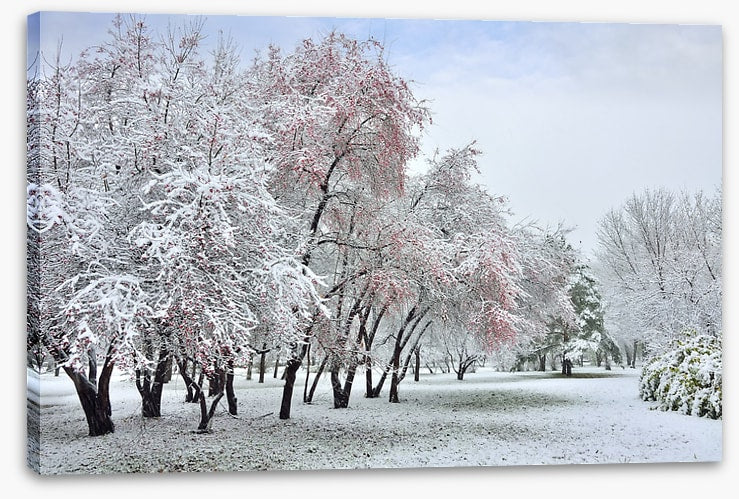 The start of winter
