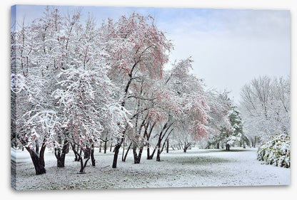 The start of winter