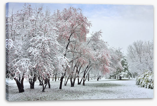 The start of winter