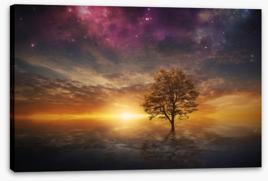 The nebula tree