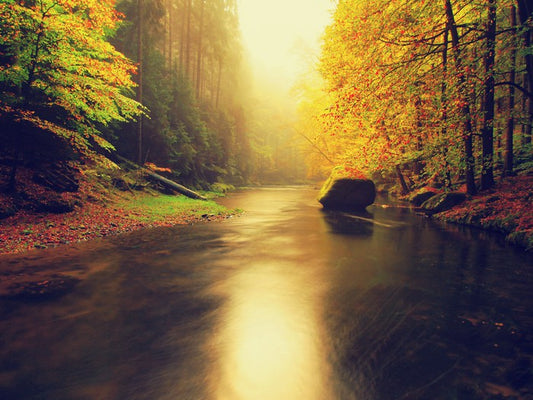 Flowing fall