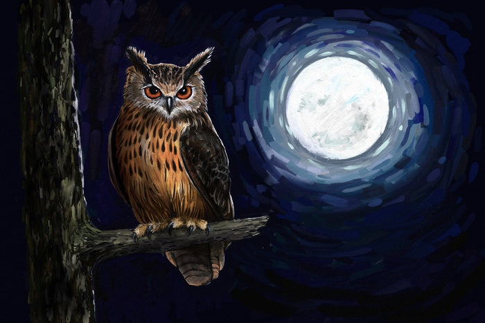Moonlight owl