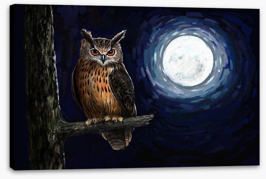 Moonlight owl