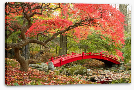Red bridge in Autumn