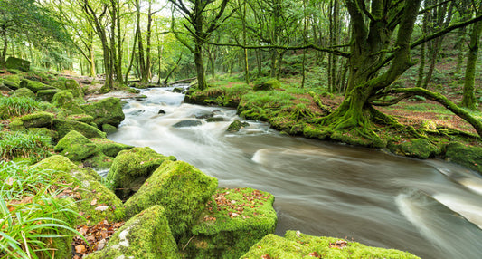 Rivers