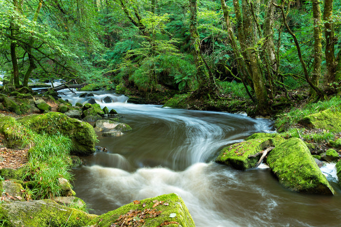 Rivers