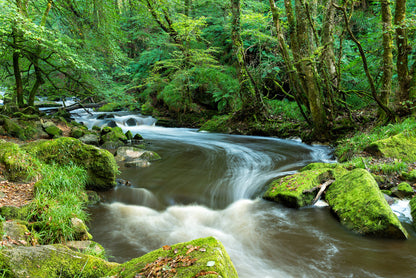 Rivers