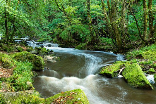 Rivers