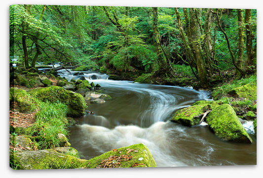 Rivers