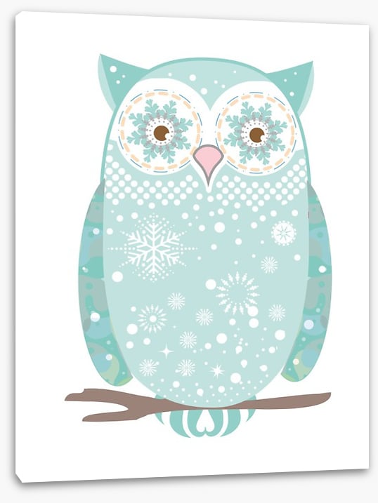 Owls