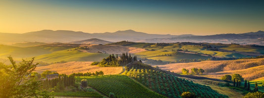 Tuscan hills panorama