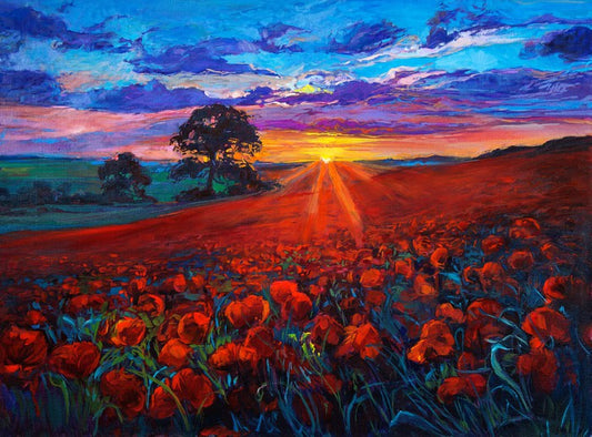 Last ray poppies