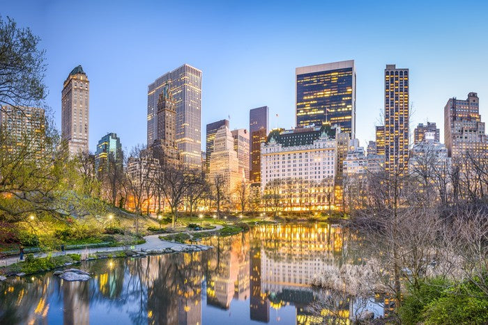 Central Park reflections